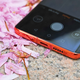 Image for article titled Huawei Rewrote the Rules for Smartphone Cameras With the P30 Pro